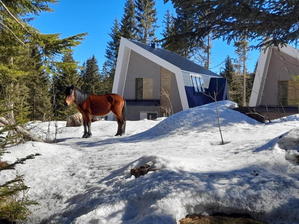 Olympic Oasis Villa Jahorina Dış mekan fotoğraf